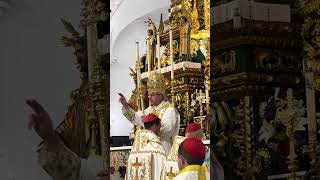 Palmarian Holy Week His Holiness Pope Peter III [upl. by Ardnuahs]