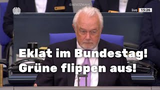 💥Eklat im Bundestag Künast und Hasselmann Grüne flippen aus [upl. by Ashmead355]