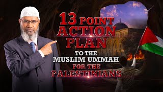 13 Point Action Plan to the Muslim Ummah for the Palestinians – Dr Zakir Naik [upl. by Liu]