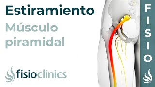 Estiramiento del músculo piramidal glúteos y pelvitrocantéreos  FisioClinics Palma de Mallorca [upl. by Kristoffer]