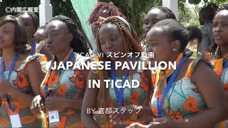 TICAD Ⅵ（ジャパン・アフリカEXPOでの日本企業の展示の様子）―平成28年8月25～28日 [upl. by Zolly]