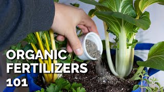 14 Organic Fertilizers and How to Use Them [upl. by Immij444]