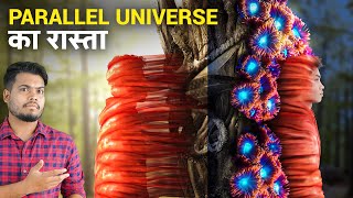 गलती से खुल गया Parallel Universe में जाने का रास्ता  Real Life Parallel Universe Story [upl. by Tyree]