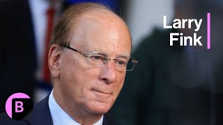 BlackRock CEO Larry Fink on US Economy Trump Vs Harris Geopolitical Risks Full Interview [upl. by Fineberg747]