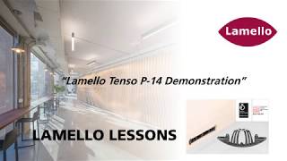 Lamello Lesson  Lamello Tenso P14 Demonstration [upl. by Wimsatt]