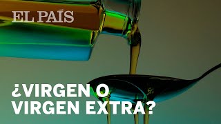 CÓMO saber si el ACEITE de oliva es VIRGEN EXTRA  Economía [upl. by Pollock736]