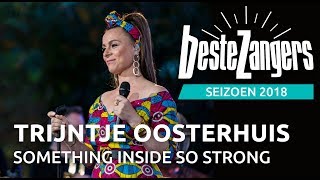 Trijntje Oosterhuis  Something inside so strong  Beste Zangers 2018 [upl. by Morrison]