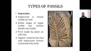 Process of Plant Fossilization and Types of Fossils Unit I Paleobotany BSc Semester II SGBAU [upl. by Teador]