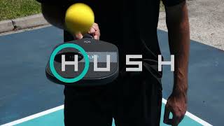 The Quietest Pickleball Paddle In The World  The Hush by Diadem [upl. by Jewell]