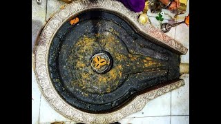 Trimbakeshwar Live Darshan livestream trimbakeshwar [upl. by Whale179]