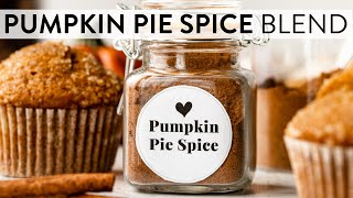 Homemade Pumpkin Pie Spice Blend  Sallys Baking Recipes [upl. by Haerdna]