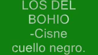 Los del BohioCisne cuello negro [upl. by Jarvey]