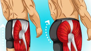 4 Meilleurs exercices pour muscler ses FESSES Pour les Hommes [upl. by Tidwell]