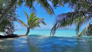 🌴 Ocean Ambience on a Tropical Island Maldives with Soothing Waves amp Paradise View for Relaxation [upl. by Chae290]