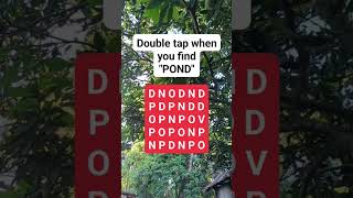 Double tap when you find quotPONDquot brainteasers search puzzle reels find [upl. by Sad]