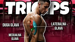 Fitnes Jednostavno TRICEPS triceps fitnes [upl. by Eenwat]