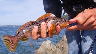 Day 3 Cooking Abalone Fishing for Trout Salmon and Rock Fish SOLO 1600 Mile Fishing Road Trip [upl. by Rose]