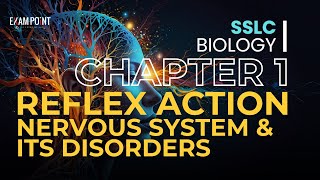 Class 10 Biology Chapter 1  Part 4 Reflex Action Nervous System amp Disorders [upl. by Bridges]