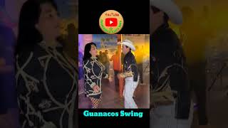 Guanacos Swing chanchonas [upl. by Eimac]