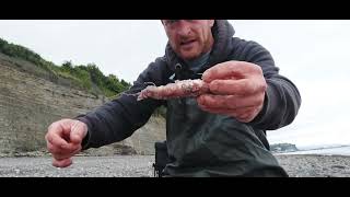 Penarth pt2 getting match ready Dai Llew Angling Ambition Custom Rod House [upl. by Archangel222]