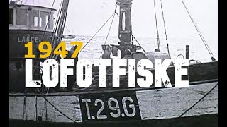 Lofotfisket 1947  Røst Balstad og Svolvær [upl. by Erdda]