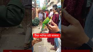 হীরামন টিয়া পাখির বাজার  Tiya Pakhi  টিয়া পাখি  Mirpur 1 Pakhir Hat  Pakhi  পাখি shorts [upl. by Onailimixam]