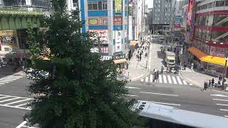 オノデンch【秋葉原ライブカメラ Akihabara live camera】 [upl. by Mirielle]