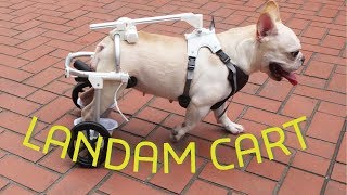 全く新しい犬用車椅子 LANDAM CART [upl. by Ocramed]