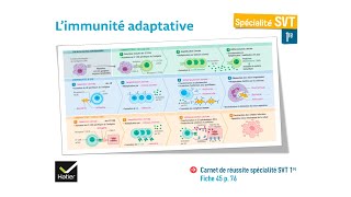 eSVT La réaction immunitaire adaptative [upl. by Ravid]