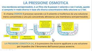 PROPRIETA COLLIGATIVE  La pressione Osmotica [upl. by Nisotawulo]