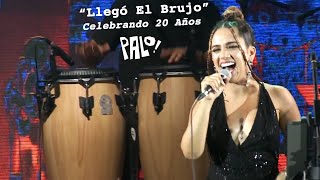 PALO quotLlegó El Brujoquot Musica Cubana Salsa Jazz Funk [upl. by Ieluuk416]