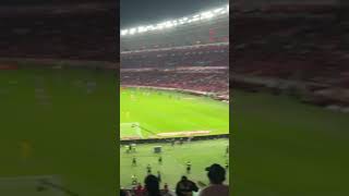 O BEIRA RIO VIROU SÃO JANUÁRIO Sempre local e nunca visitante 💢 vasco crvg torcida vascodagama [upl. by Einhapets]