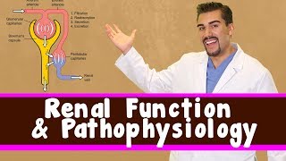 Renal Function and Pathophysiology [upl. by Malloy]