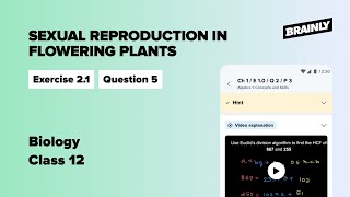 What is meant by monosporic development of female gametophyte Class 12 Biology Ex 21 Q5 [upl. by Thapa]