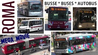 ROMA Busse  buses  autobus 2019 MEGA MOVIE  BredaMenarinibus  IVECO  MercedesBenz [upl. by Cirilla]