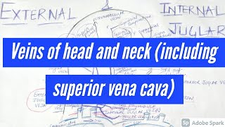 SUPERIOR VENA CAVA AND EXTERNAL AND INTERNAL JUGULAR VEIN [upl. by Crutcher]