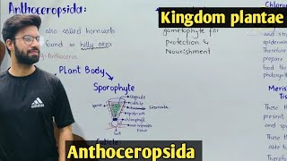 Anthoceropsida Characteristics  Hornworts  Life Cycle [upl. by Hymen767]