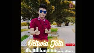 Ven mi amorcito  Octavio Jota Audio Oficial ✓™ [upl. by Eelir]