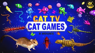 CAT GAMES  ULTIMATE CAT TV COMPILATION FOR FELINE FRIENDS  GAMES FOR CATS 😺 4K 8HOURS [upl. by Hgielrac366]