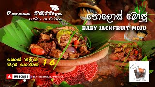 පොළොස් මෝජු  Polos Moju  Baby Jackfruit recipe [upl. by Orestes894]