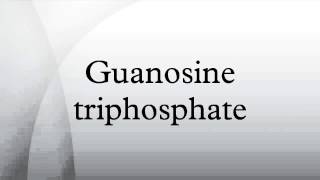 Guanosine triphosphate [upl. by Miner]