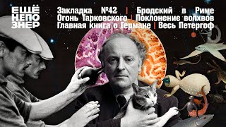 Рим Бродского огонь Тарковского Герман «Сеанса» и весь Петергоф закладка №42 ещенепознер [upl. by Gayla241]