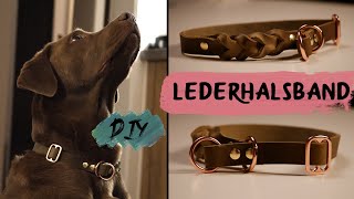 DIY  LEDERHALSBAND für Hunde  selber machen [upl. by Guendolen]