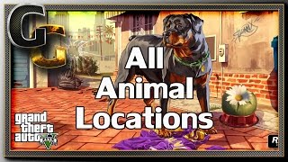 GTA V PC  Unlock All Animals Peyote Plant Locations [upl. by Shipley]