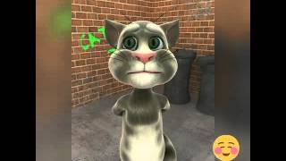 Roberto to to to to  talking tom [upl. by Saul]