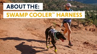 About the Swamp Cooler™ Dog Cooling Harness [upl. by Inimod892]