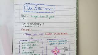 SEMINOMA and NONSEMINOMAS  Testicular Cancers Pathology [upl. by Trueman]