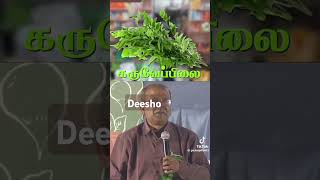 கருவேப்பில்லை கொத்தமல்லி சிறிதளவுfood vegetables deesho6229 [upl. by Lrad]