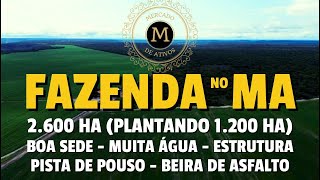 FAZENDA LINDA ESTRUTURADA E PRODUTIVA NO MARANHÃO COM 2600 HA ABERTA EM LAVOURA  MercadodeAtivos [upl. by Diandra]