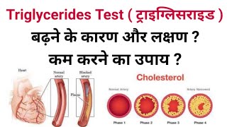 Triglyceride Test in Hindi  triglyceride test normal range  triglycerides kaise kam kare in hindi [upl. by Pease]